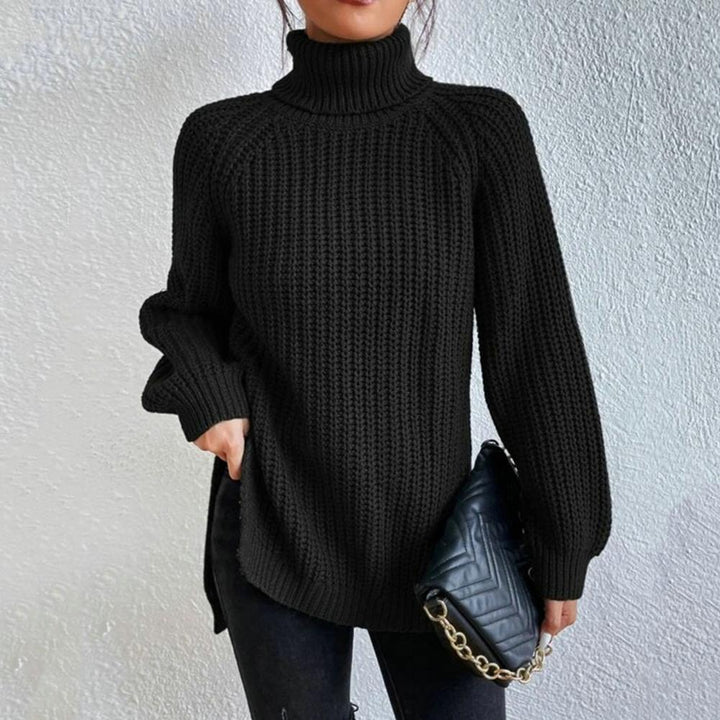 Women's Turtleneck Sweater Cotton Elegant