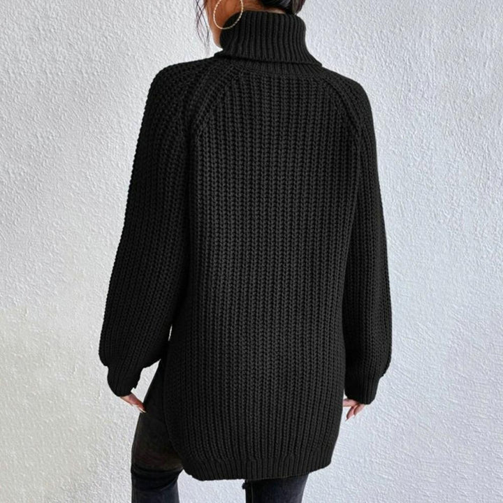 Women's Turtleneck Sweater Cotton Elegant