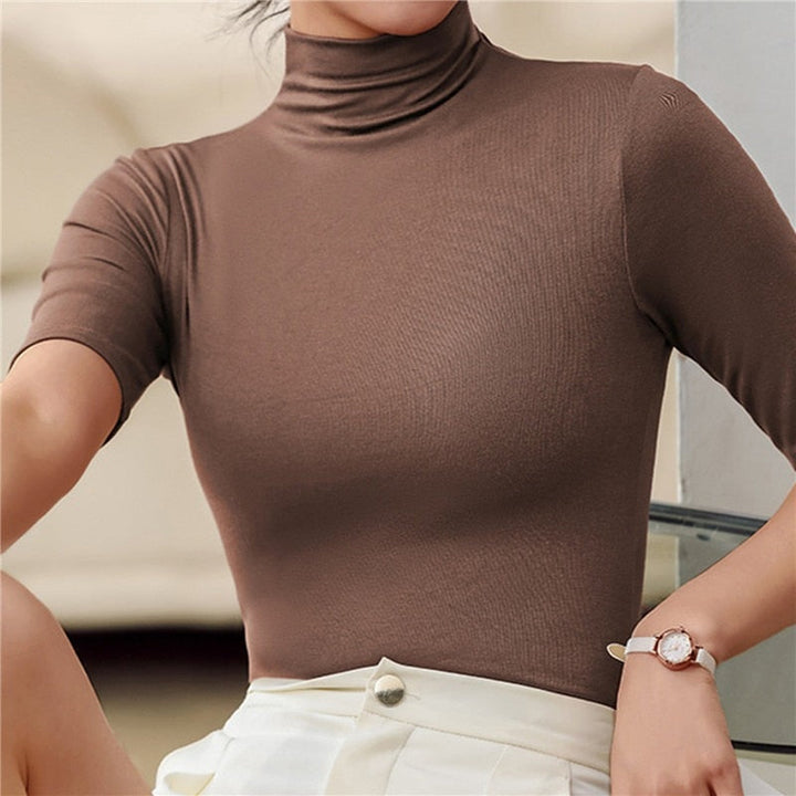 Women's Sweater Turtleneck Minimalistic Stretch Fabric Elegant