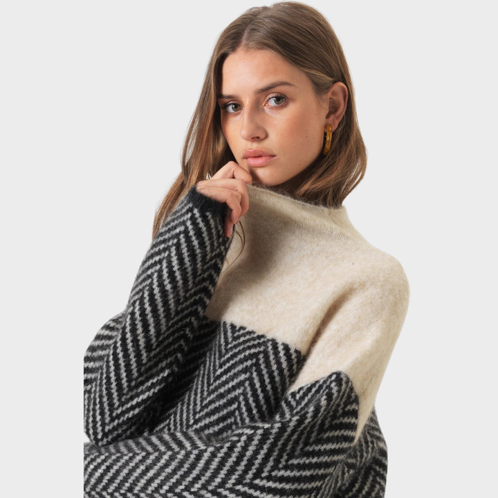 Dorothy | Two-tone cotton turtleneck sweater