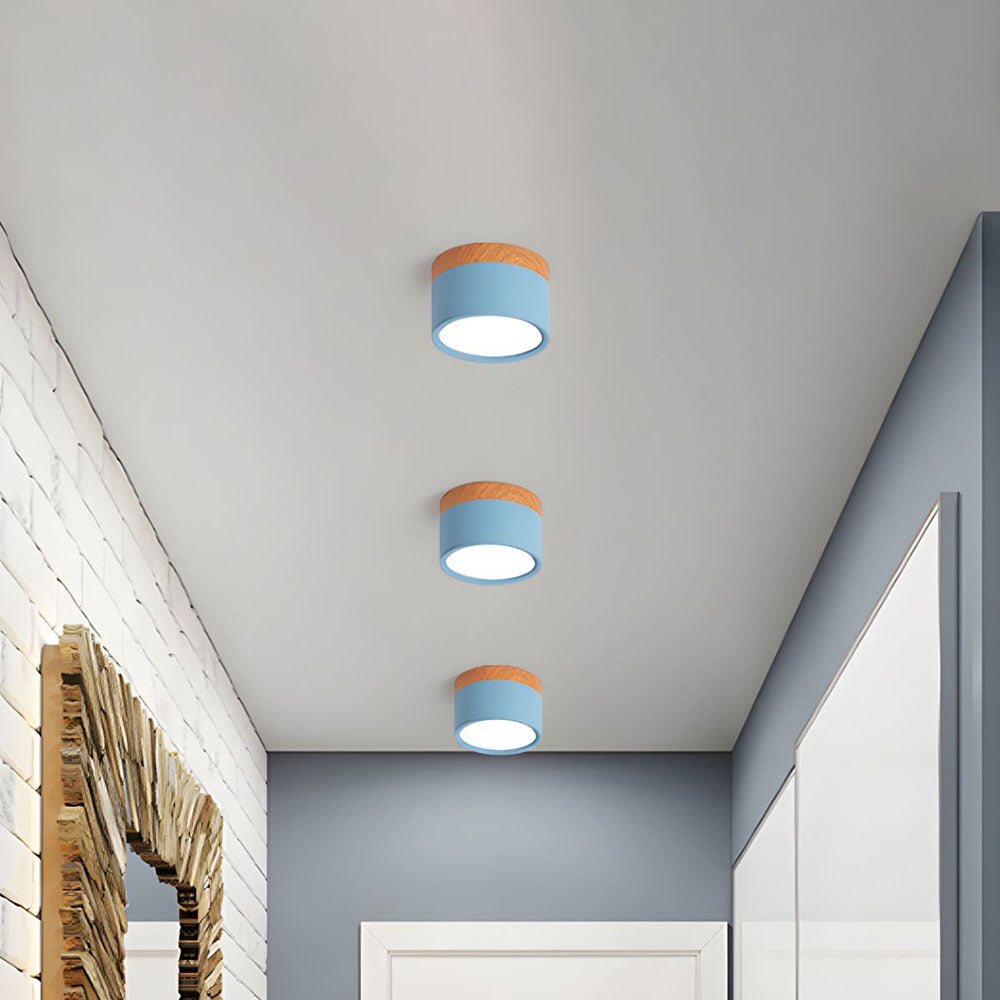 Moderne Zylinderförmige Deckenleuchte mit LED für Wohnzimmer und Flur – Energieeffiziente Deckenlampe in Verschiedenen Farben 2