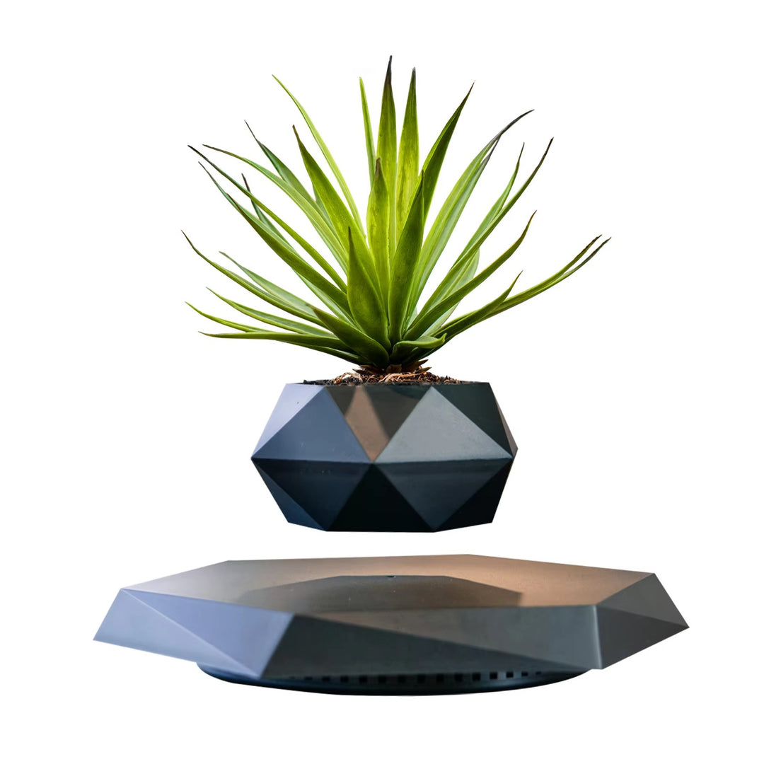 Bonsaï flottant – décoration végétale à lévitation magnétique