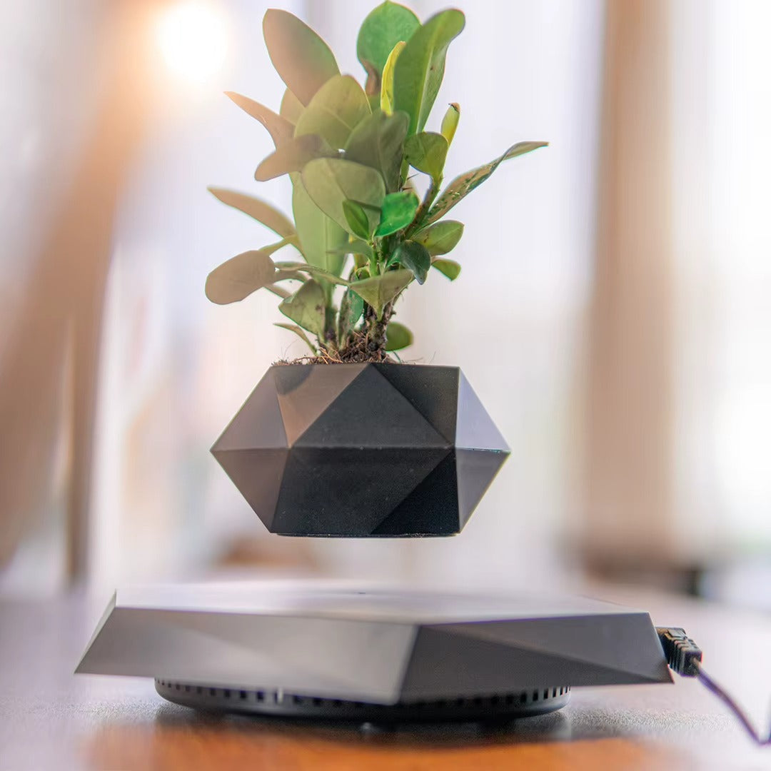 Bonsaï flottant – décoration végétale à lévitation magnétique