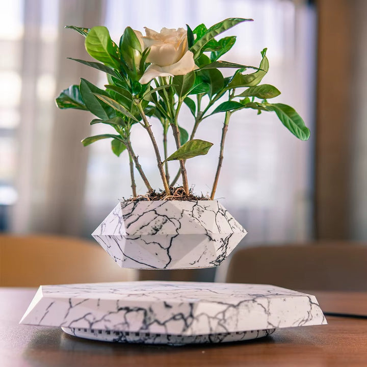 Bonsaï flottant – décoration végétale à lévitation magnétique