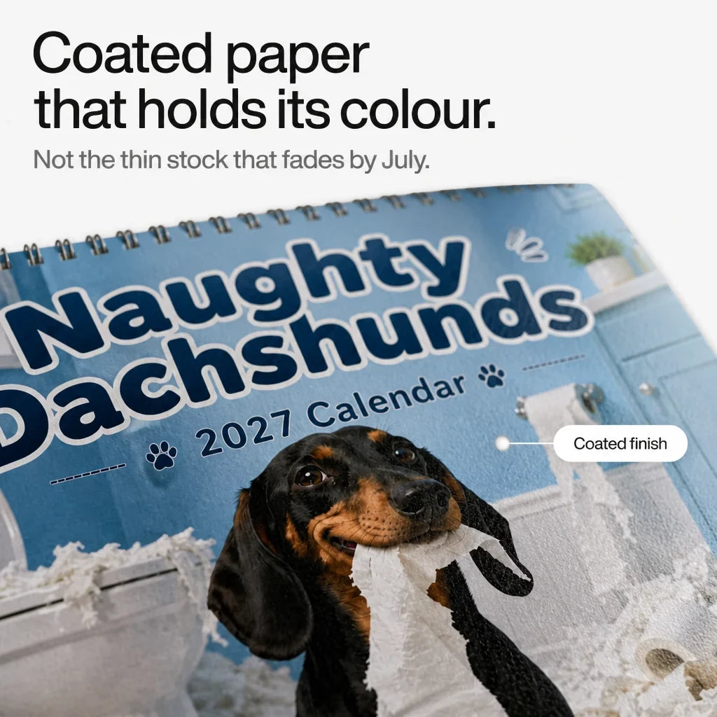 Dackel Wandkalender Niedliche Hunde Dekoration
